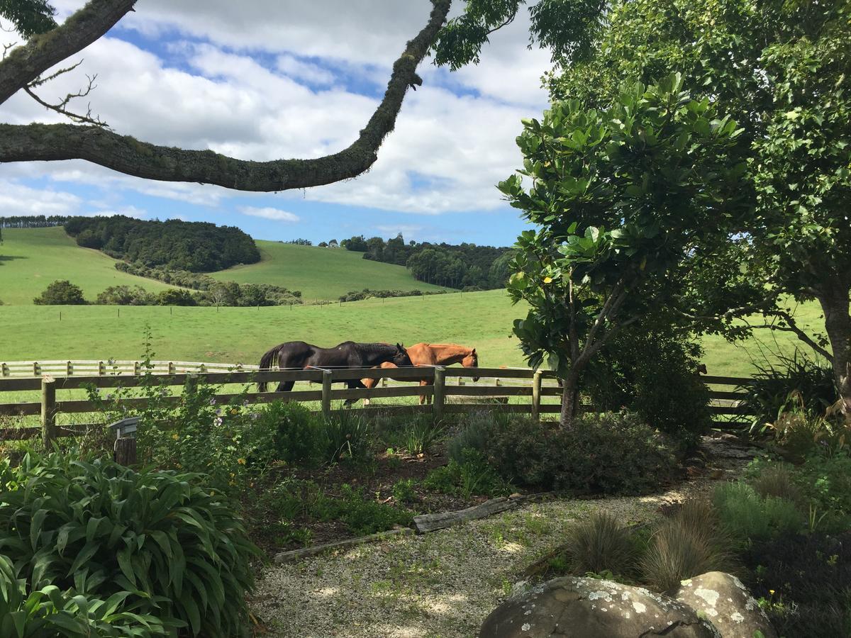 Quail Lodge Nz Snells Beach Dış mekan fotoğraf